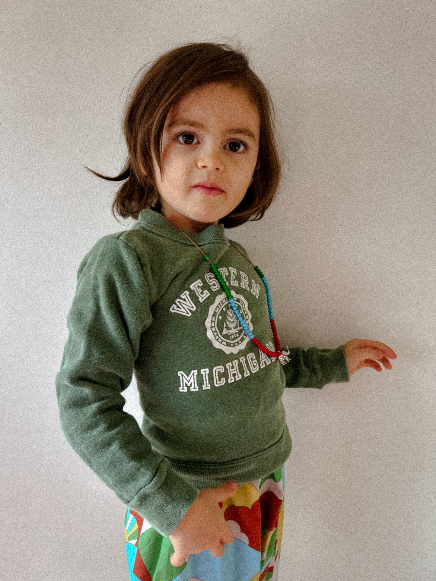 70s Michigan Swearshirt