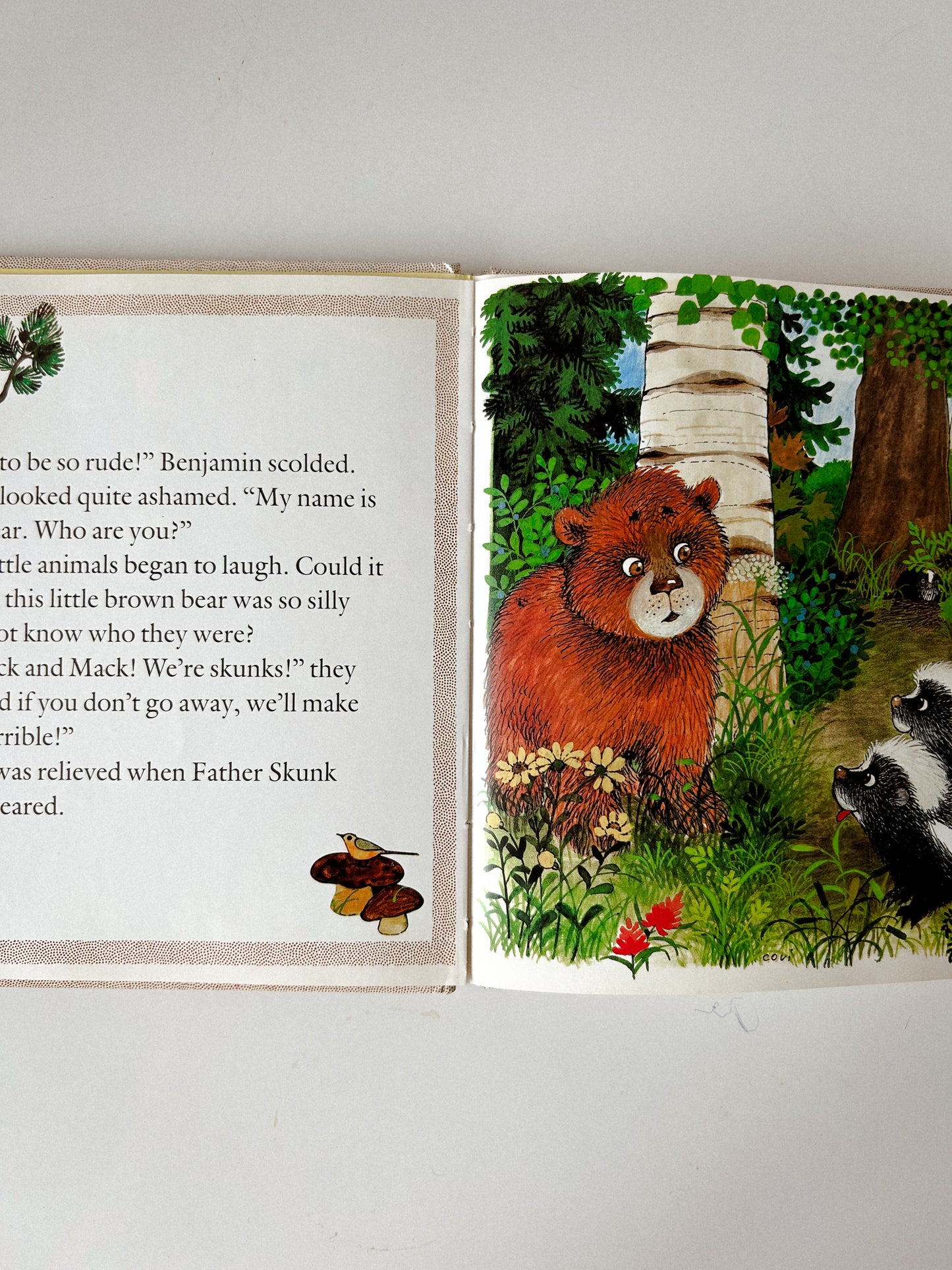 Benjamin and the Skunks