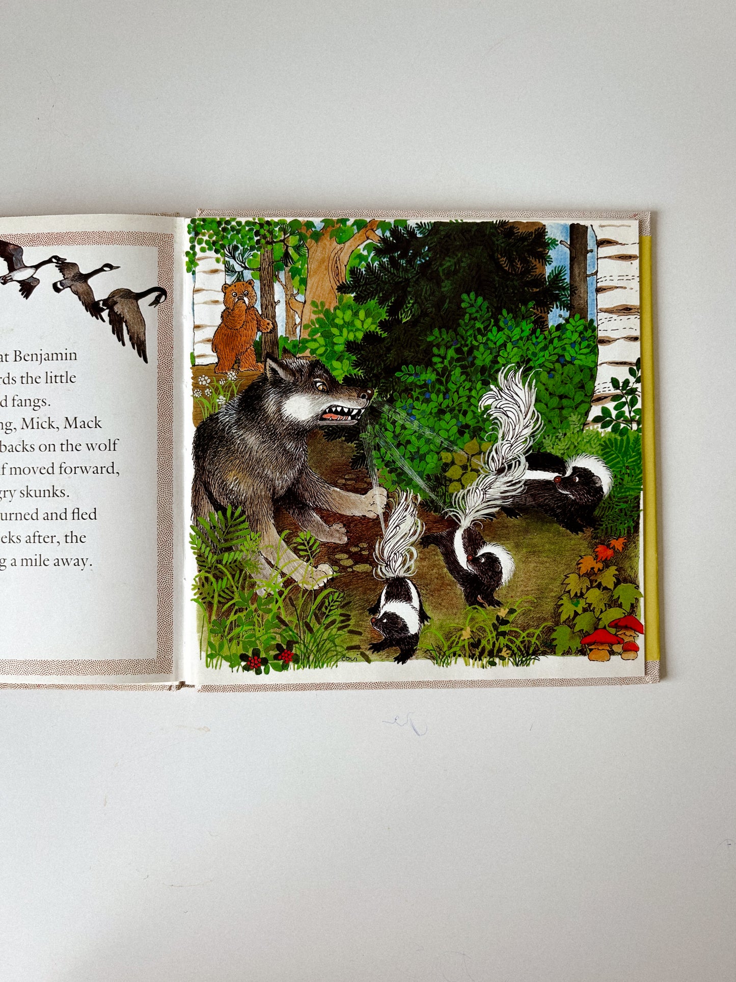 Benjamin and the Skunks