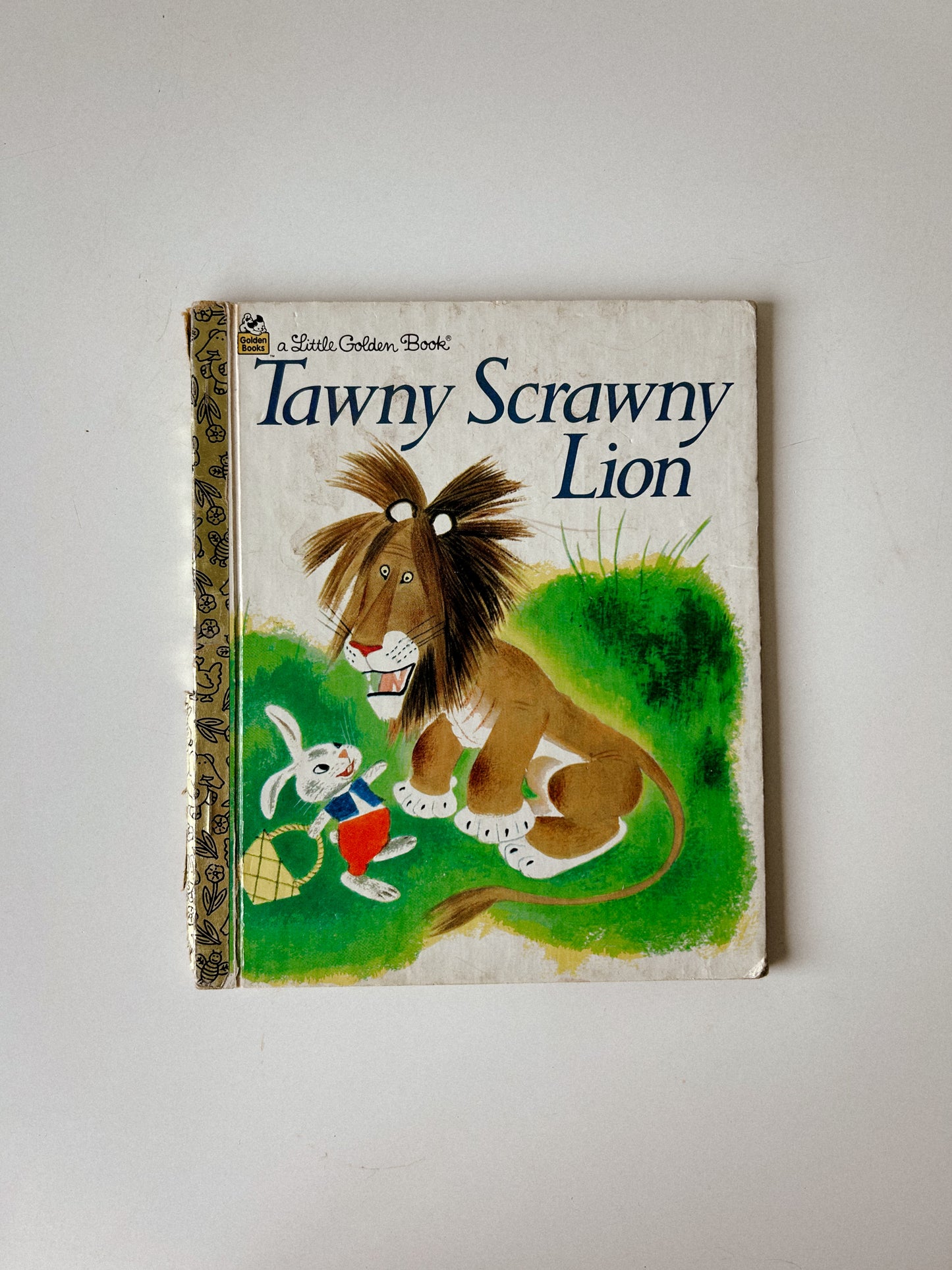 Tawny Scrawny Lion
