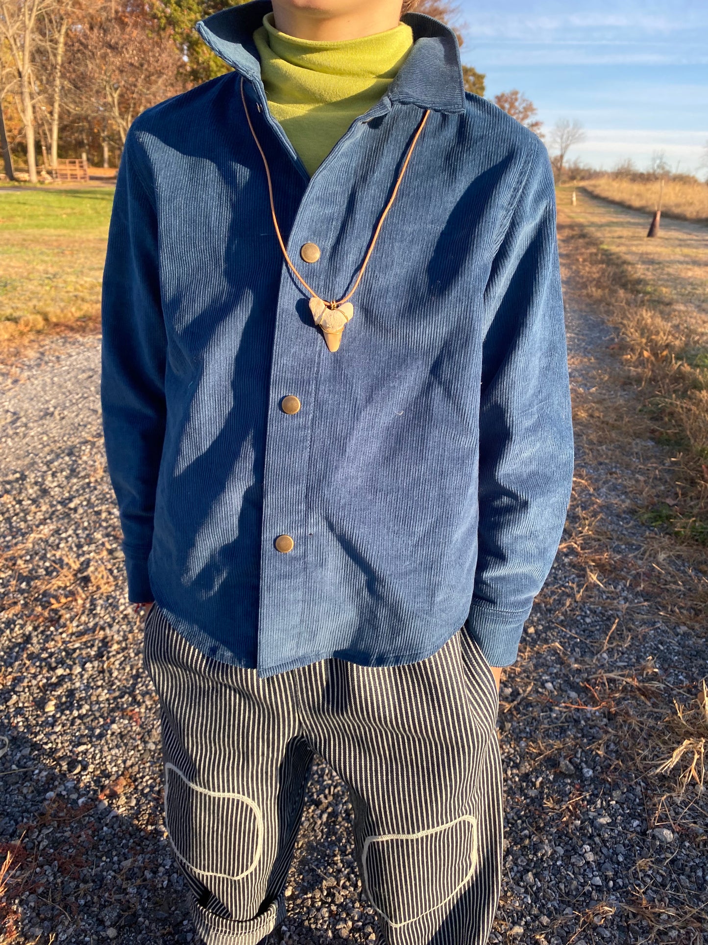 Fossilized Shark Tooth Necklace