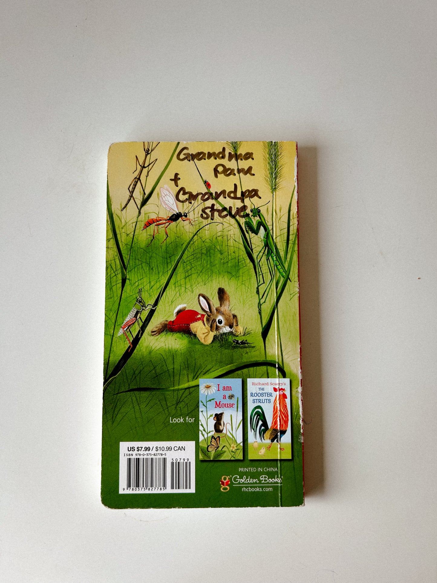 I am Bunny Board Book
