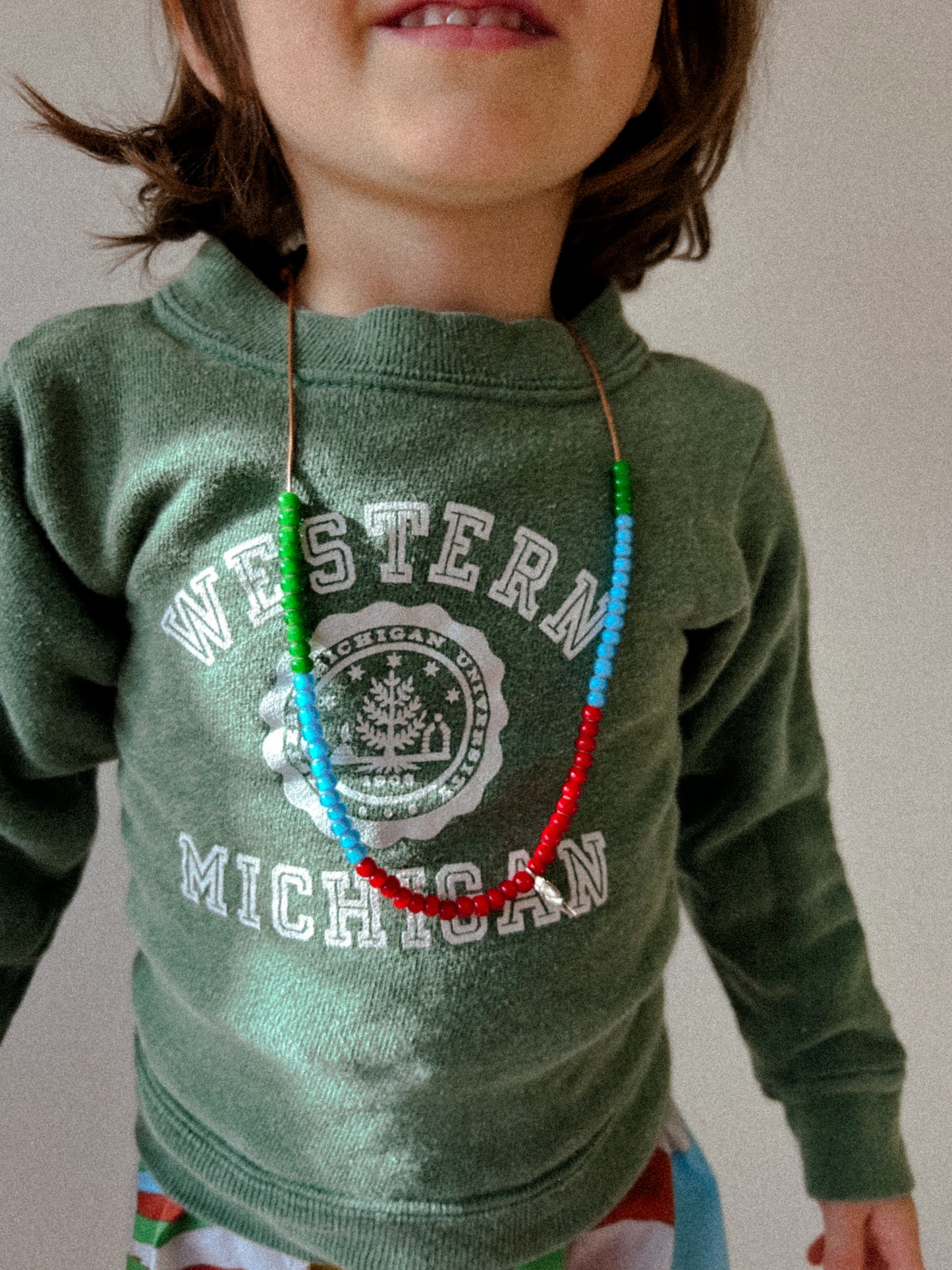 70s Michigan Swearshirt