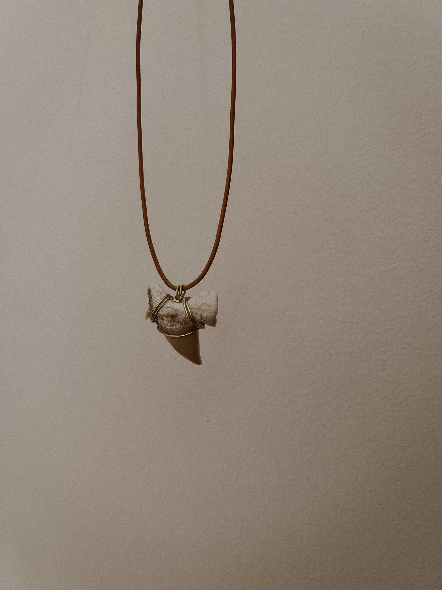 Fossilized Shark Tooth Necklace