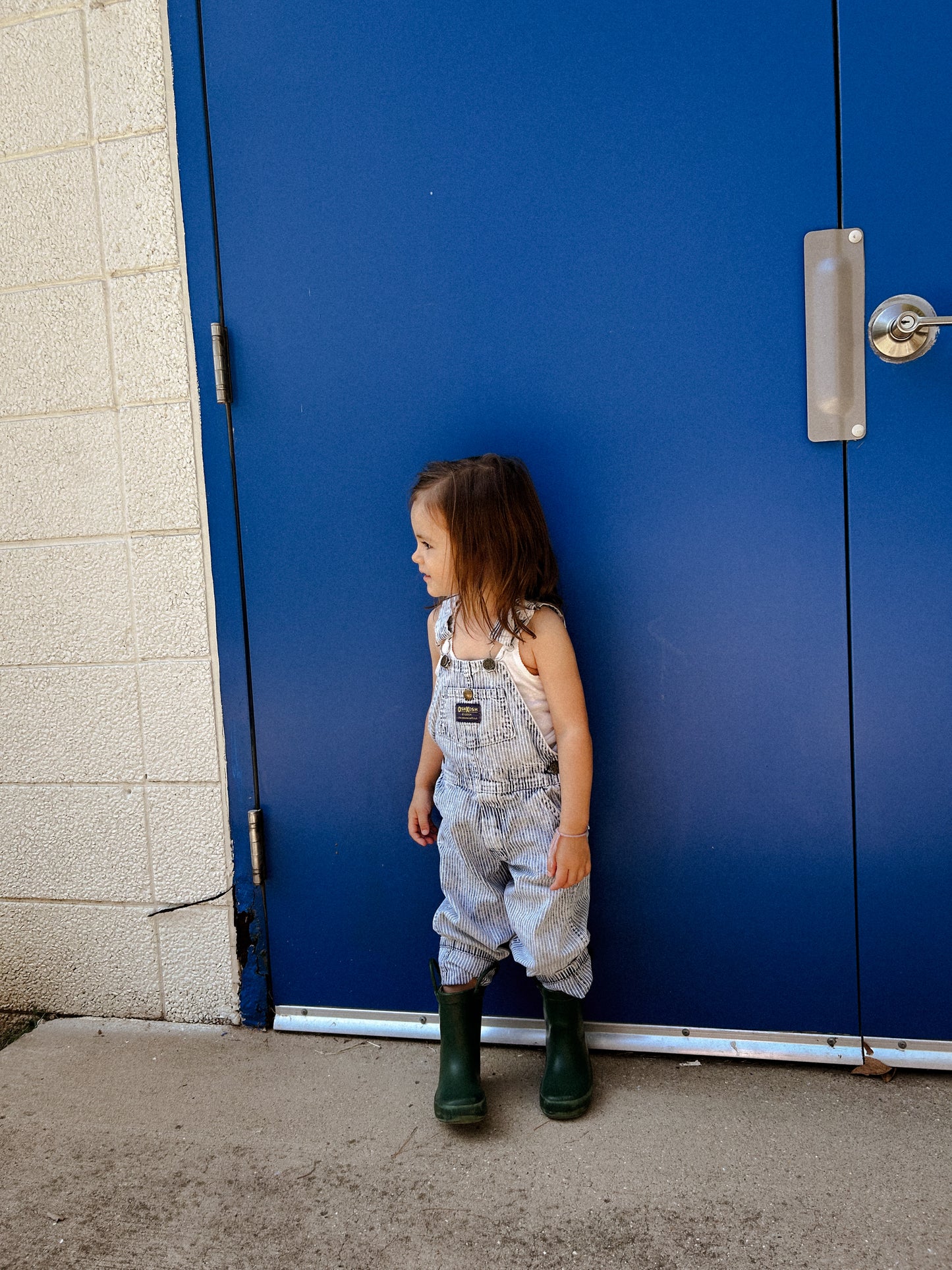 Vintage Acid Wash Hickory Striped Overalls