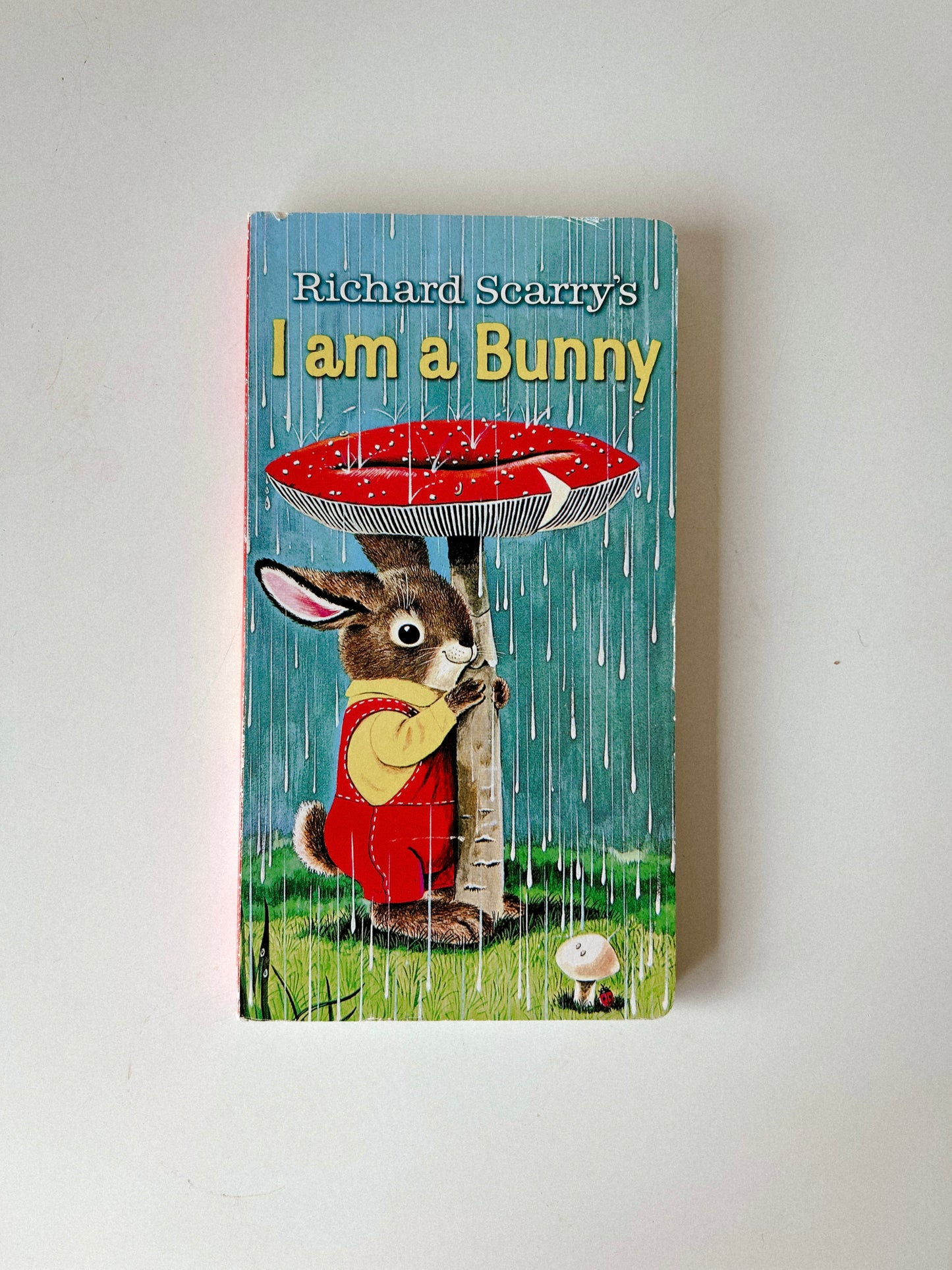 I am Bunny Board Book