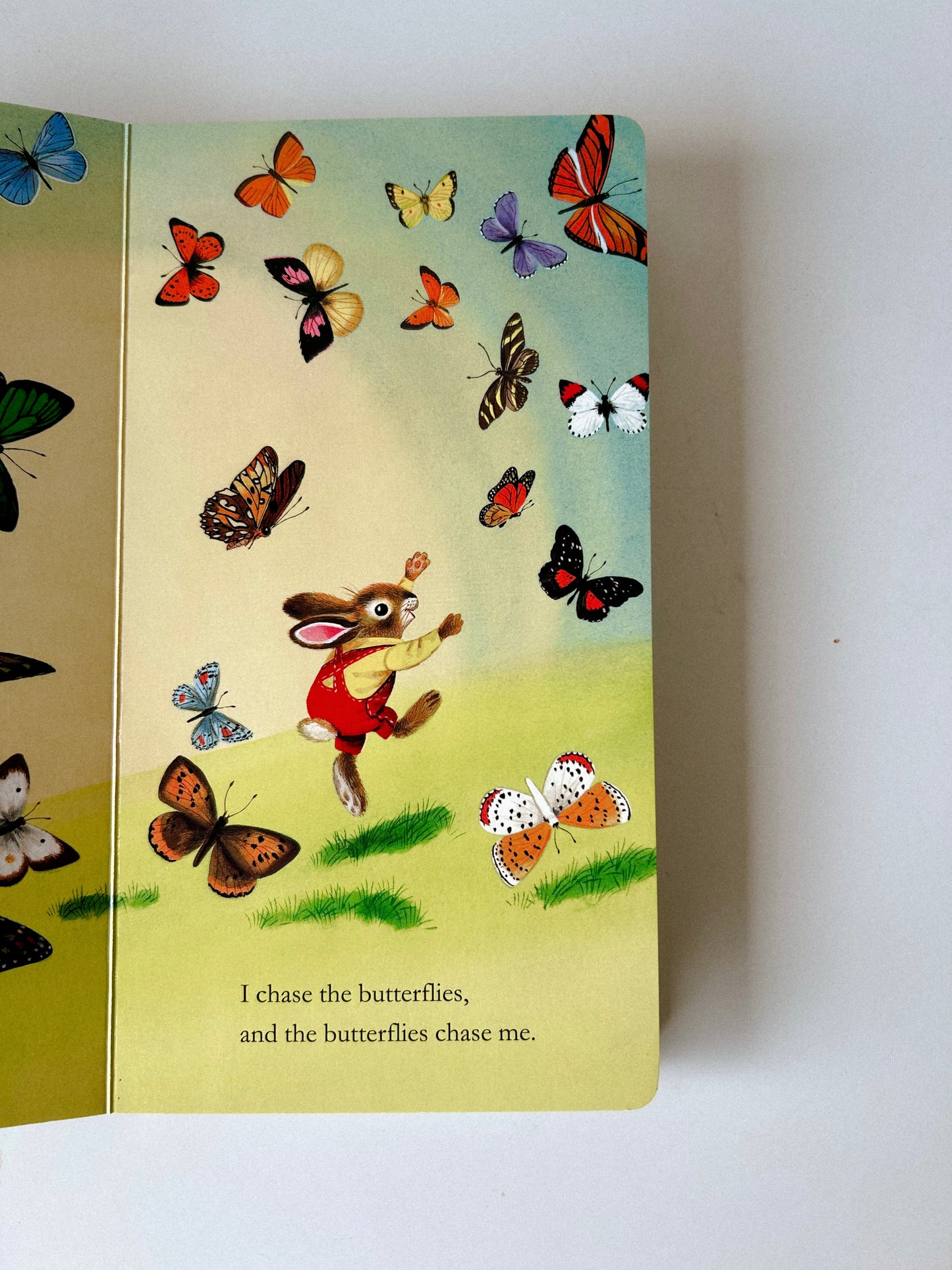 I am Bunny Board Book